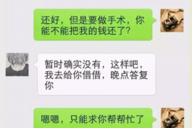 雷州遇到恶意拖欠？专业追讨公司帮您解决烦恼